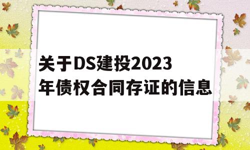 关于DS建投2023年债权合同存证的信息