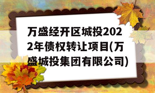 万盛经开区城投2022年债权转让项目(万盛城投集团有限公司)