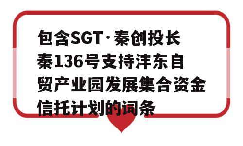 包含SGT·秦创投长秦136号支持沣东自贸产业园发展集合资金信托计划的词条