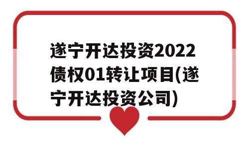 遂宁开达投资2022债权01转让项目(遂宁开达投资公司)