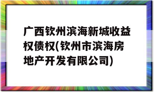 广西钦州滨海新城收益权债权(钦州市滨海房地产开发有限公司)