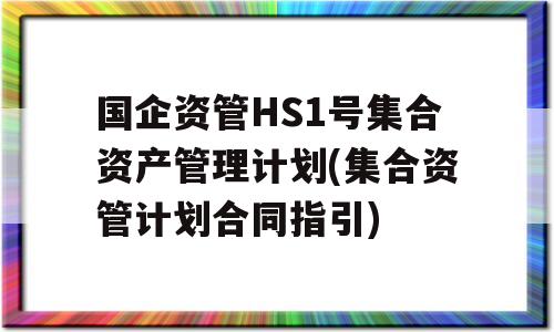 国企资管HS1号集合资产管理计划(集合资管计划合同指引)