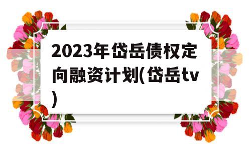 2023年岱岳债权定向融资计划(岱岳tv)