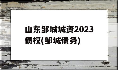 山东邹城城资2023债权(邹城债务)