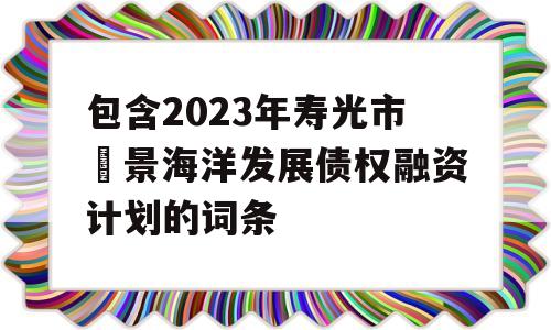 包含2023年寿光市昇景海洋发展债权融资计划的词条