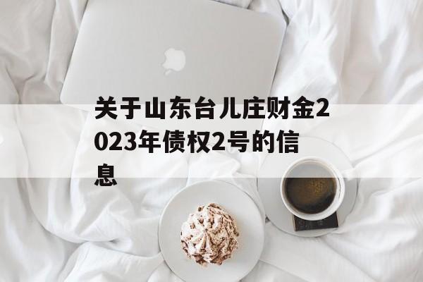 关于山东台儿庄财金2023年债权2号的信息