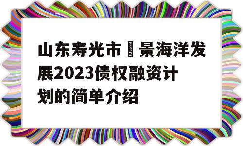 山东寿光市昇景海洋发展2023债权融资计划的简单介绍