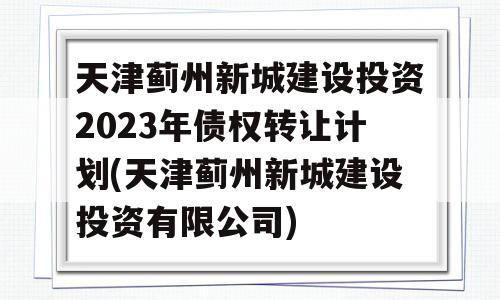 天津蓟州新城建设投资2023年债权转让计划(天津蓟州新城建设投资有限公司)