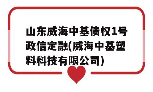 山东威海中基债权1号政信定融(威海中基塑料科技有限公司)