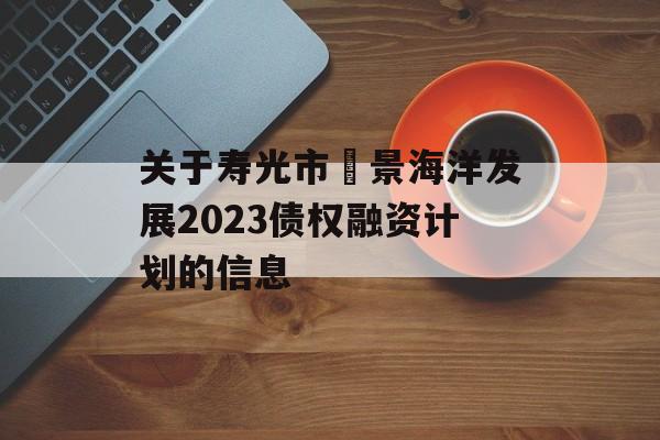 关于寿光市昇景海洋发展2023债权融资计划的信息