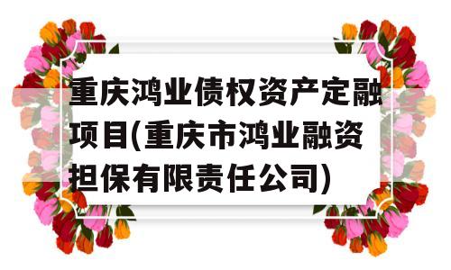 重庆鸿业债权资产定融项目(重庆市鸿业融资担保有限责任公司)