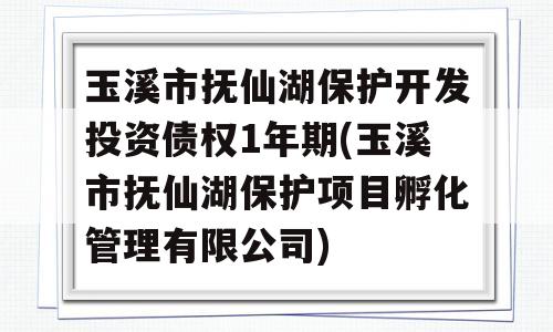 玉溪市抚仙湖保护开发投资债权1年期(玉溪市抚仙湖保护项目孵化管理有限公司)