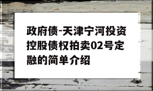 政府债-天津宁河投资控股债权拍卖02号定融的简单介绍