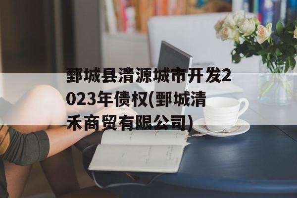 鄄城县清源城市开发2023年债权(鄄城清禾商贸有限公司)