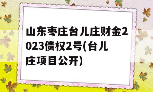 山东枣庄台儿庄财金2023债权2号(台儿庄项目公开)