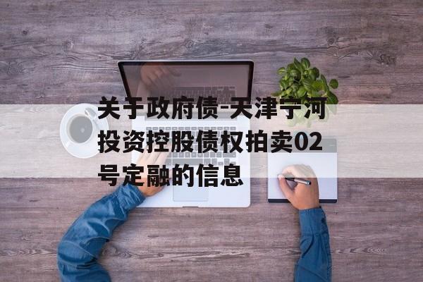 关于政府债-天津宁河投资控股债权拍卖02号定融的信息