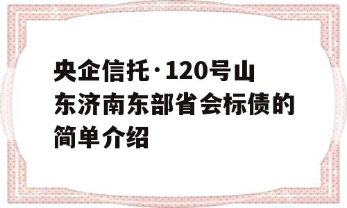 央企信托·120号山东济南东部省会标债的简单介绍