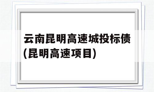 云南昆明高速城投标债(昆明高速项目)