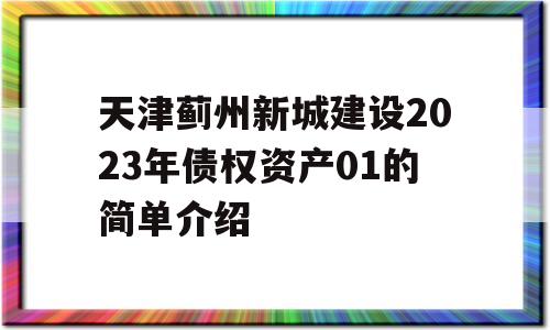 天津蓟州新城建设2023年债权资产01的简单介绍