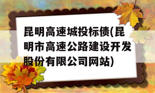 昆明高速城投标债(昆明市高速公路建设开发股份有限公司网站)