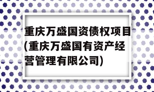 重庆万盛国资债权项目(重庆万盛国有资产经营管理有限公司)