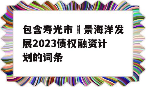 包含寿光市昇景海洋发展2023债权融资计划的词条