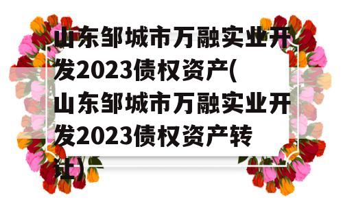 山东邹城市万融实业开发2023债权资产(山东邹城市万融实业开发2023债权资产转让)