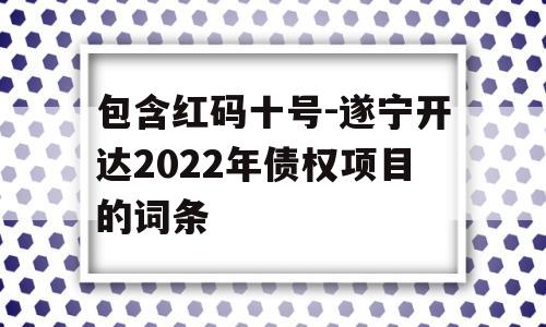 包含红码十号-遂宁开达2022年债权项目的词条