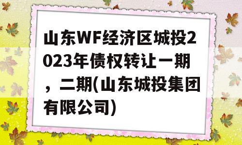 山东WF经济区城投2023年债权转让一期，二期(山东城投集团有限公司)