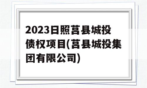 2023日照莒县城投债权项目(莒县城投集团有限公司)