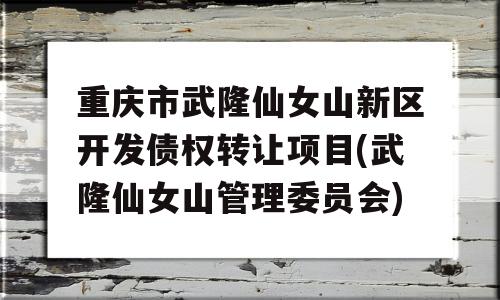 重庆市武隆仙女山新区开发债权转让项目(武隆仙女山管理委员会)