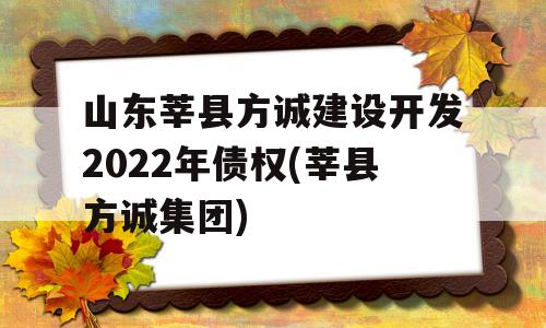 山东莘县方诚建设开发2022年债权(莘县方诚集团)