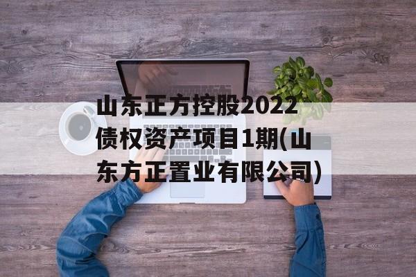 山东正方控股2022债权资产项目1期(山东方正置业有限公司)