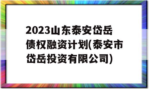 2023山东泰安岱岳债权融资计划(泰安市岱岳投资有限公司)