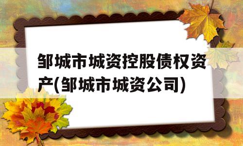 邹城市城资控股债权资产(邹城市城资公司)