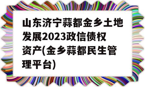 山东济宁蒜都金乡土地发展2023政信债权资产(金乡蒜都民生管理平台)