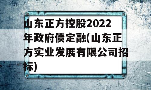 山东正方控股2022年政府债定融(山东正方实业发展有限公司招标)