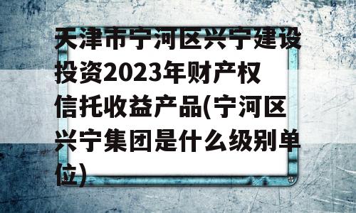 天津市宁河区兴宁建设投资2023年财产权信托收益产品(宁河区兴宁集团是什么级别单位)