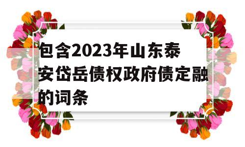 包含2023年山东泰安岱岳债权政府债定融的词条