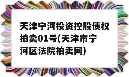 天津宁河投资控股债权拍卖01号(天津市宁河区法院拍卖网)