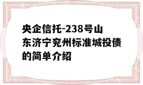 央企信托-238号山东济宁兖州标准城投债的简单介绍