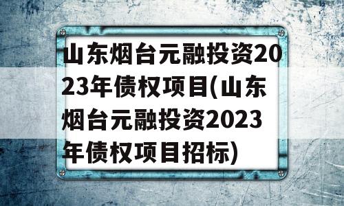 山东烟台元融投资2023年债权项目(山东烟台元融投资2023年债权项目招标)