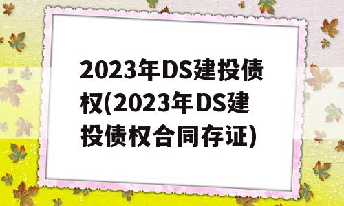 2023年DS建投债权(2023年DS建投债权合同存证)