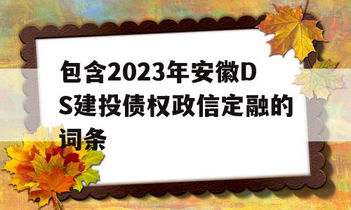 包含2023年安徽DS建投债权政信定融的词条