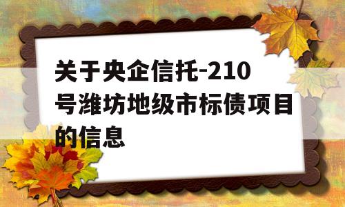 关于央企信托-210号潍坊地级市标债项目的信息