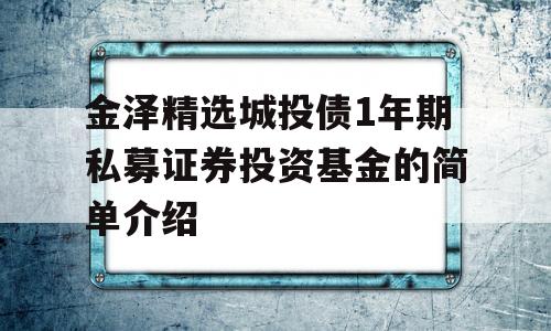 金泽精选城投债1年期私募证券投资基金的简单介绍