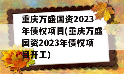 重庆万盛国资2023年债权项目(重庆万盛国资2023年债权项目开工)