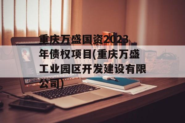 重庆万盛国资2023年债权项目(重庆万盛工业园区开发建设有限公司)