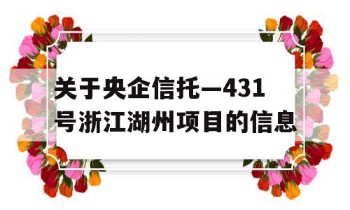 关于央企信托—431号浙江湖州项目的信息