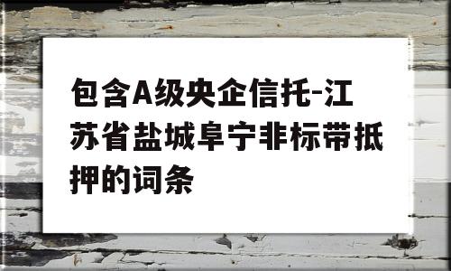 包含A级央企信托-江苏省盐城阜宁非标带抵押的词条